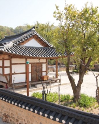 초록의 싱그러움이 가득한 5월..