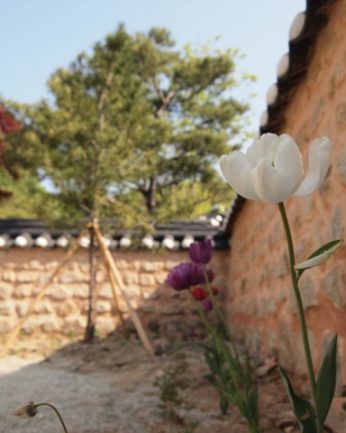 초록의 싱그러움이 가득한 5월..