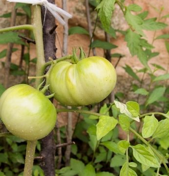 늘푸른 전통문화연수원