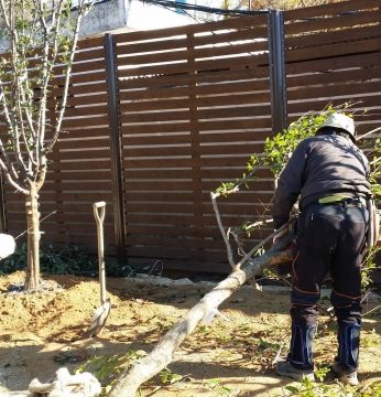 가을은 온데간데 보이질 않고