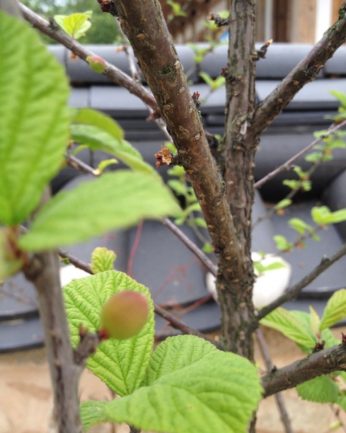 다가오는 수확의 계절..