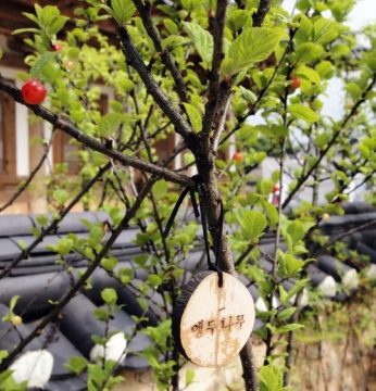 붉은 입술.. 유월을 기다립니다