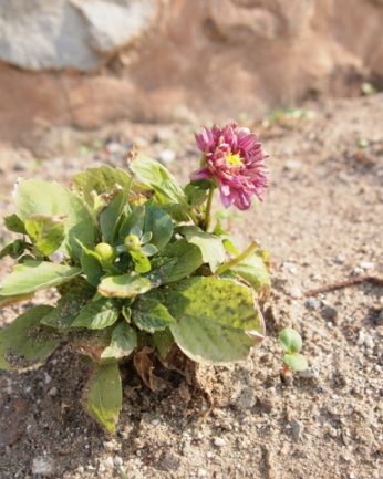 초록의 싱그러움이 가득한 5월..