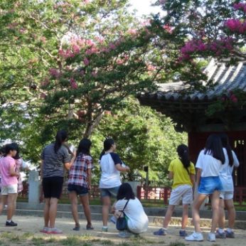 대천여자중학교