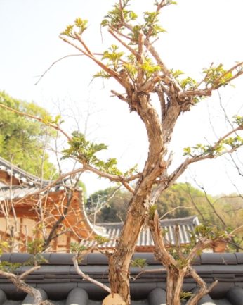 초록의 싱그러움이 가득한 5월..