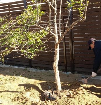 가을은 온데간데 보이질 않고