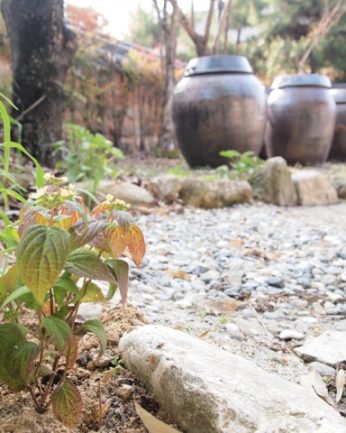 초록의 싱그러움이 가득한 5월..