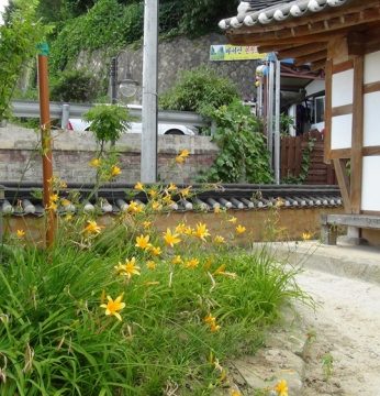 송글송글 맺혀있는 이것이 무엇일까요?