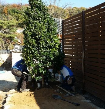 가을은 온데간데 보이질 않고