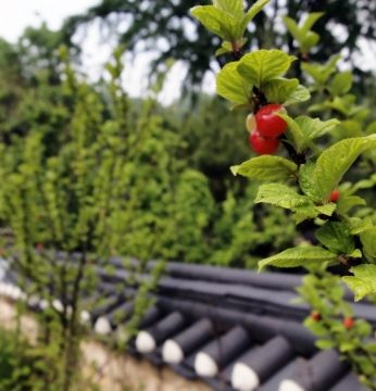 붉은 입술.. 유월을 기다립니다