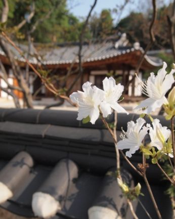 초록의 싱그러움이 가득한 5월..