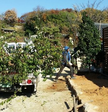 가을은 온데간데 보이질 않고