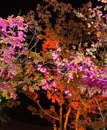 2015 인문학 콘서트 고전톡톡 '고전, 삶의 길잡이가 되다' 2