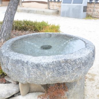 연수원이 봄을 맞아 기지개를 펴고 있어요