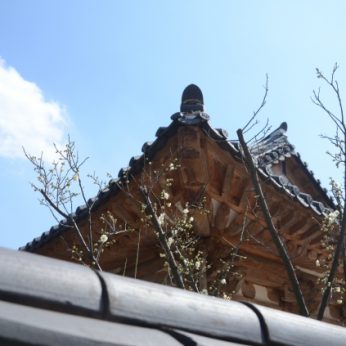 연수원이 봄을 맞아 기지개를 펴고 있어요