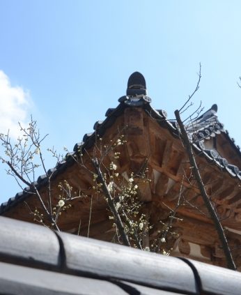 연수원이 봄을 맞아 기지개를 펴고 있어요