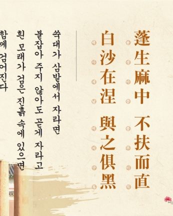 [2014년 문향 네번째]蓬生麻中 不扶而直 白沙在涅 與之俱黑