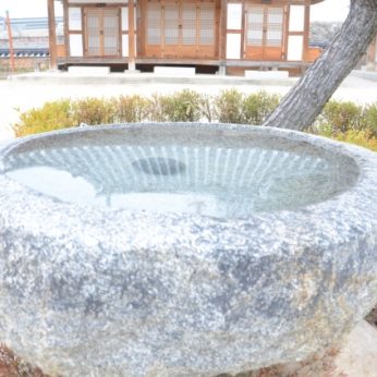 연수원이 봄을 맞아 기지개를 펴고 있어요