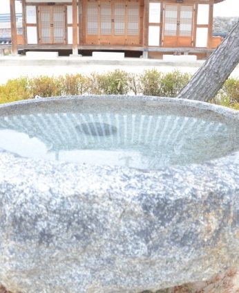 연수원이 봄을 맞아 기지개를 펴고 있어요