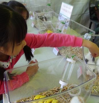 제8회 평생학습한마당