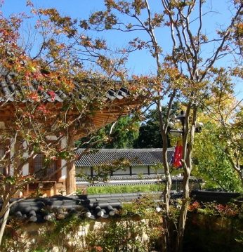 쌀쌀해진 가을 바람과 올해 마지막 수확