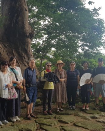 2020 동헌사가당 - 전주한옥마을 4당 5락 체험