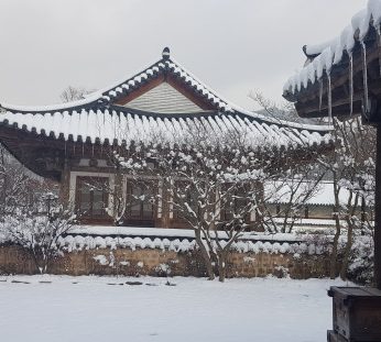 연수원에 눈이 내렸습니다.