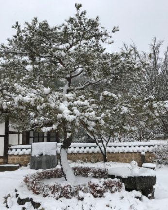 연수원에 눈이 내렸습니다.