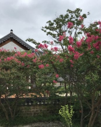 무더운 여름 연수원에 핀 꽃