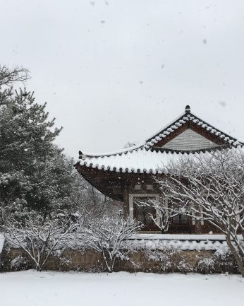 또 눈이 왔습니다