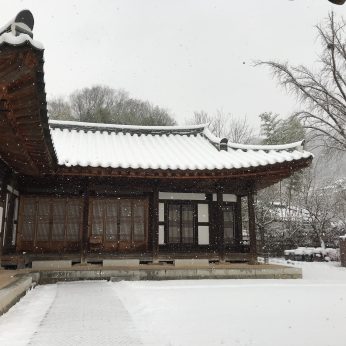 또 눈이 왔습니다