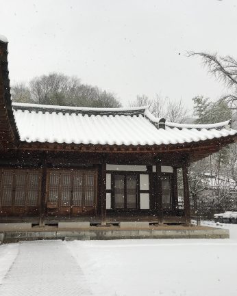 또 눈이 왔습니다