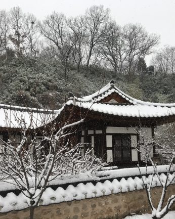 또 눈이 왔습니다