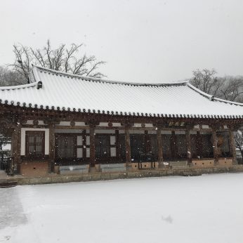 또 눈이 왔습니다