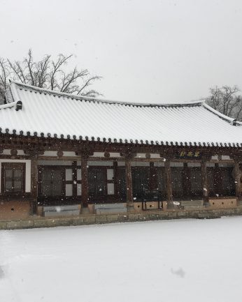 또 눈이 왔습니다