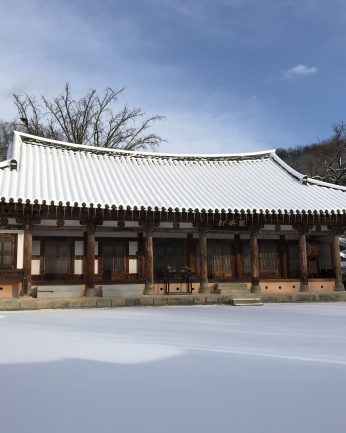 연수원에 눈이 왔습니다.