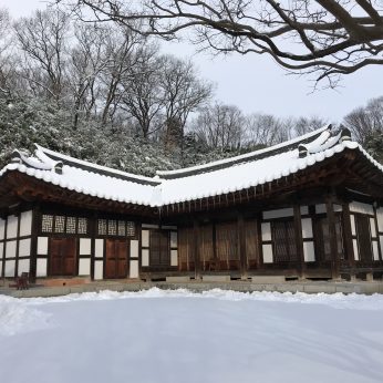 연수원에 눈이 왔습니다.