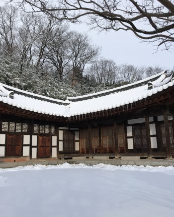 연수원에 눈이 왔습니다.