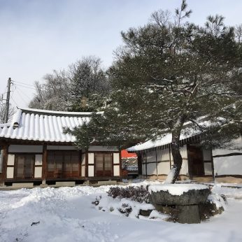 연수원에 눈이 왔습니다.