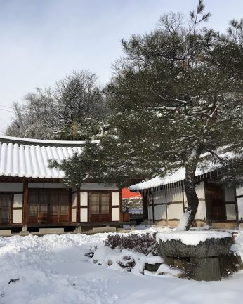 연수원에 눈이 왔습니다.