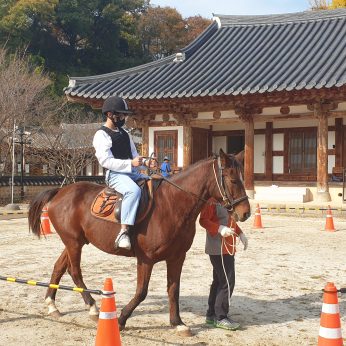 오수고등학교 연수