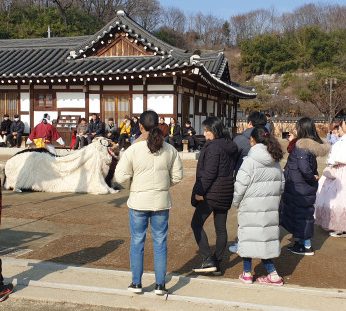 강아지 탈춤 <해피야 이리오너라> 마당놀이 상설공연