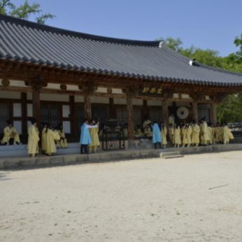 충북보건과학대학교 연수