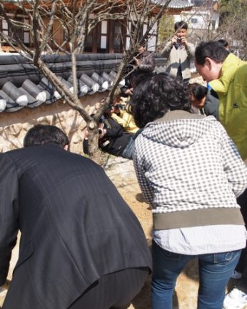 전주동헌 식목행사