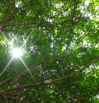 전주향교 성년례