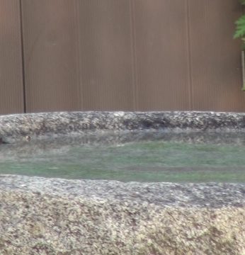 돌확을 찾는 귀한 손님