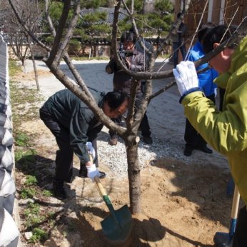 전주동헌 식목행사