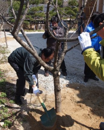 전주동헌 식목행사