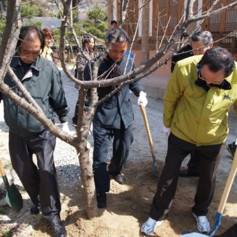 전주동헌 식목행사