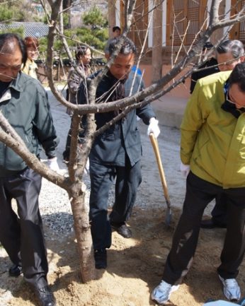 전주동헌 식목행사